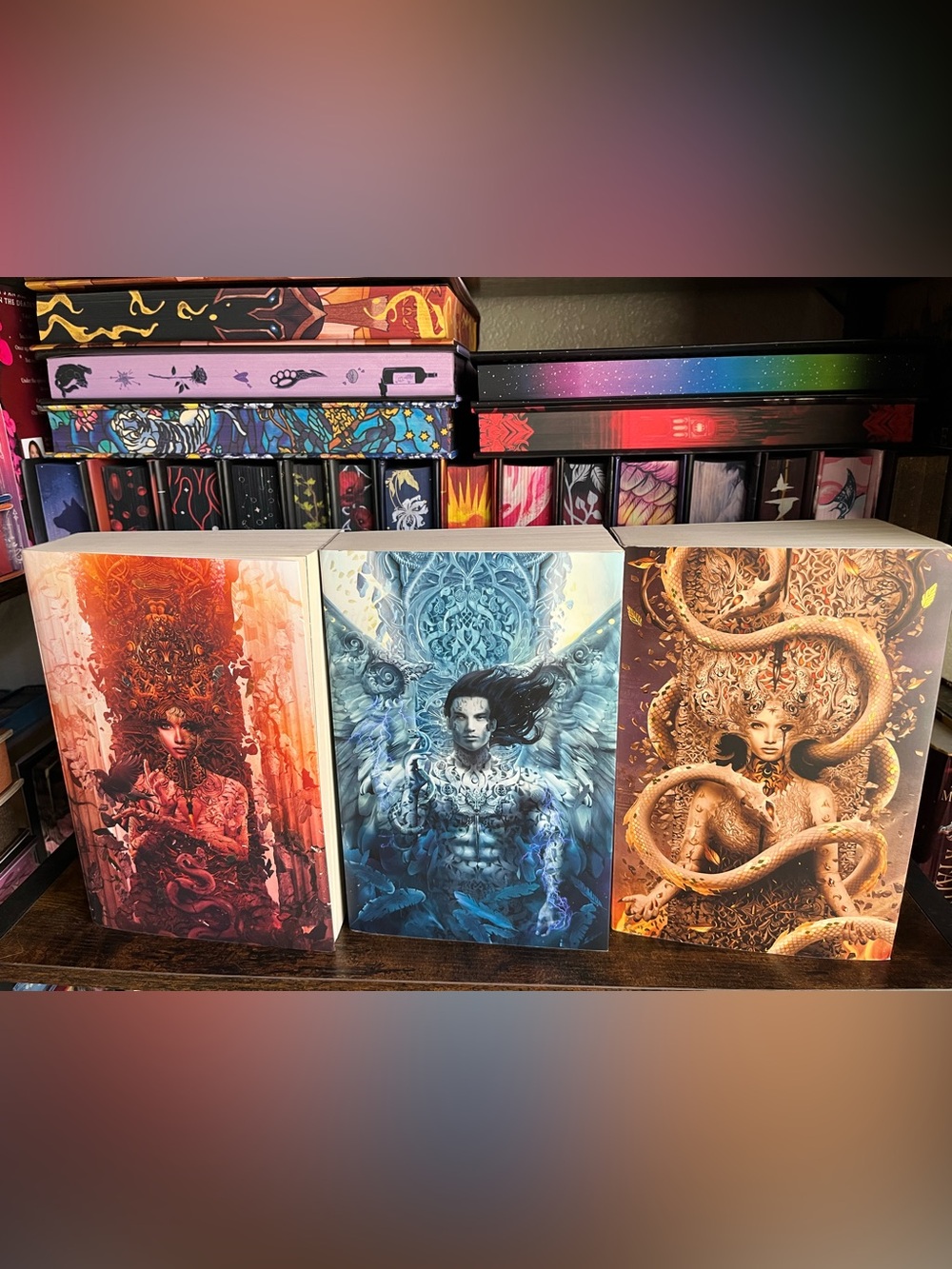 Crescent City Barnes & Noble Exclusive Paperback Trilogy by Sara J. Maas